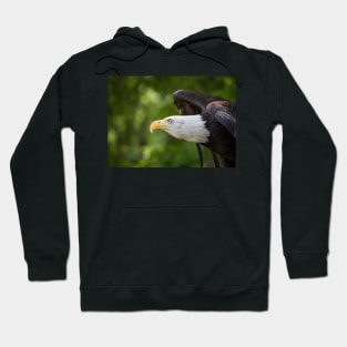 Swift Hoodie